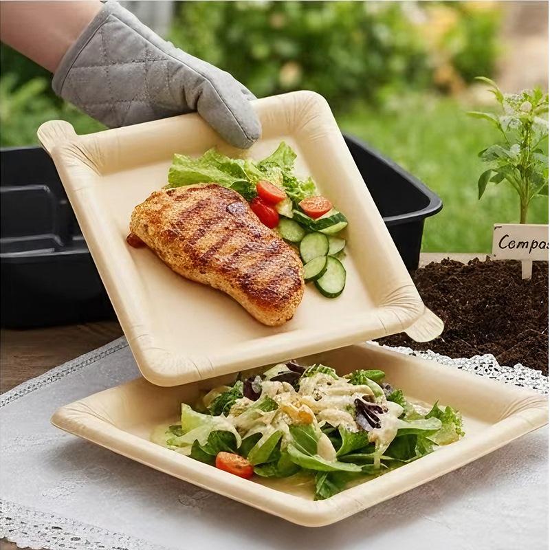 20 Platos de Papel Desechables - Camping Cooking Disc reseña y precio